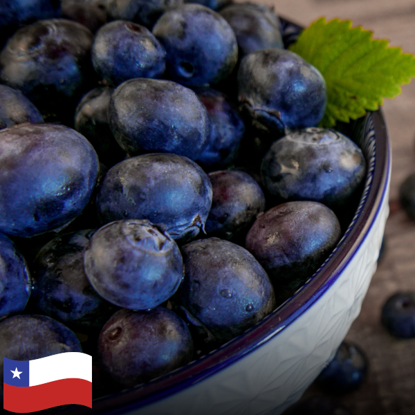 Arándanos / Blueberries (1 lb)