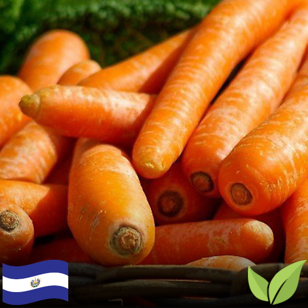 Zanahoria / Carrot (1 lb) (Organic)