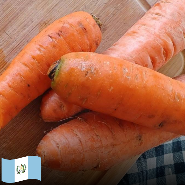 Zanahoria / Carrot (1 lb)