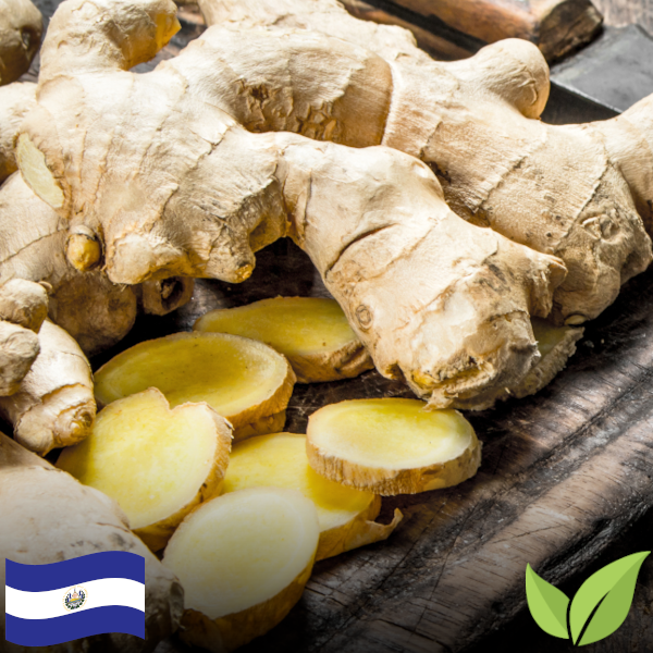 Raíz de Jengibre / Ginger Root (1 lb) (Organic)