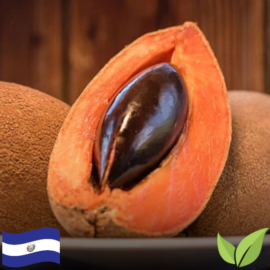 Mamey Sapote (1 lb) (Organic)