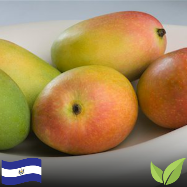 Plum Mangos / Mangoes Ciruela (5) (Organic)