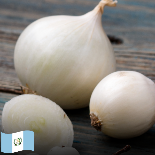 Cebolla blanca / White Onion (3)